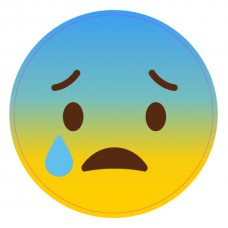 道具相框 - Emoji, Disappointed,失望 (FB0032) 